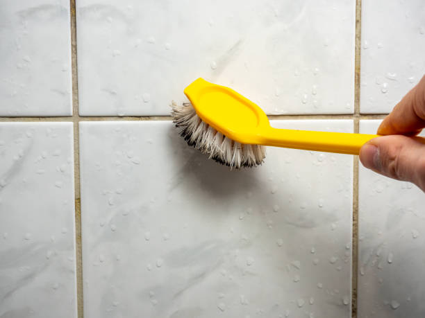Reliable Tukwila, WA Mold Removal Solutions