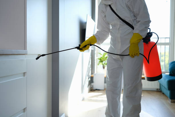 Certified Mold Removal in Tukwila, WA