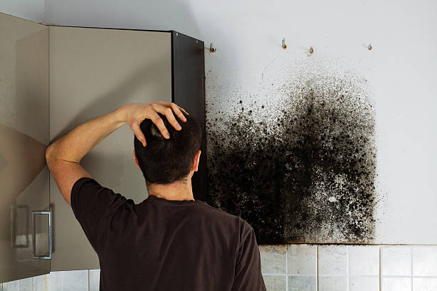 Best Water Damage Restoration  in Tukwila, WA